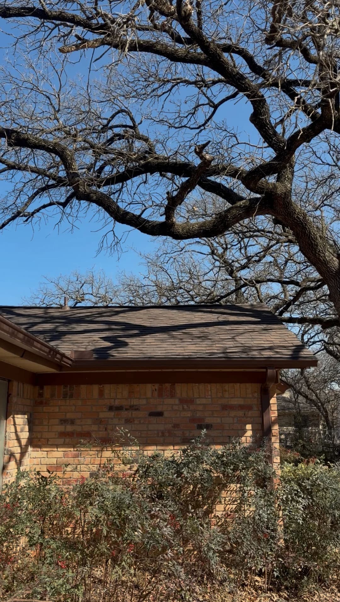 Brick house with a sloped roof under a blue sky and bare branches of an oak tree.