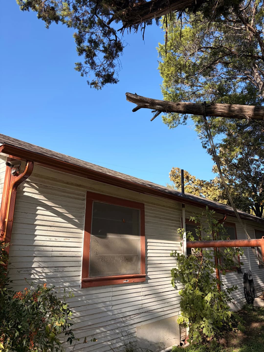 Side view of a house with a wooden window frame, blue sky, and tree branches overhead.