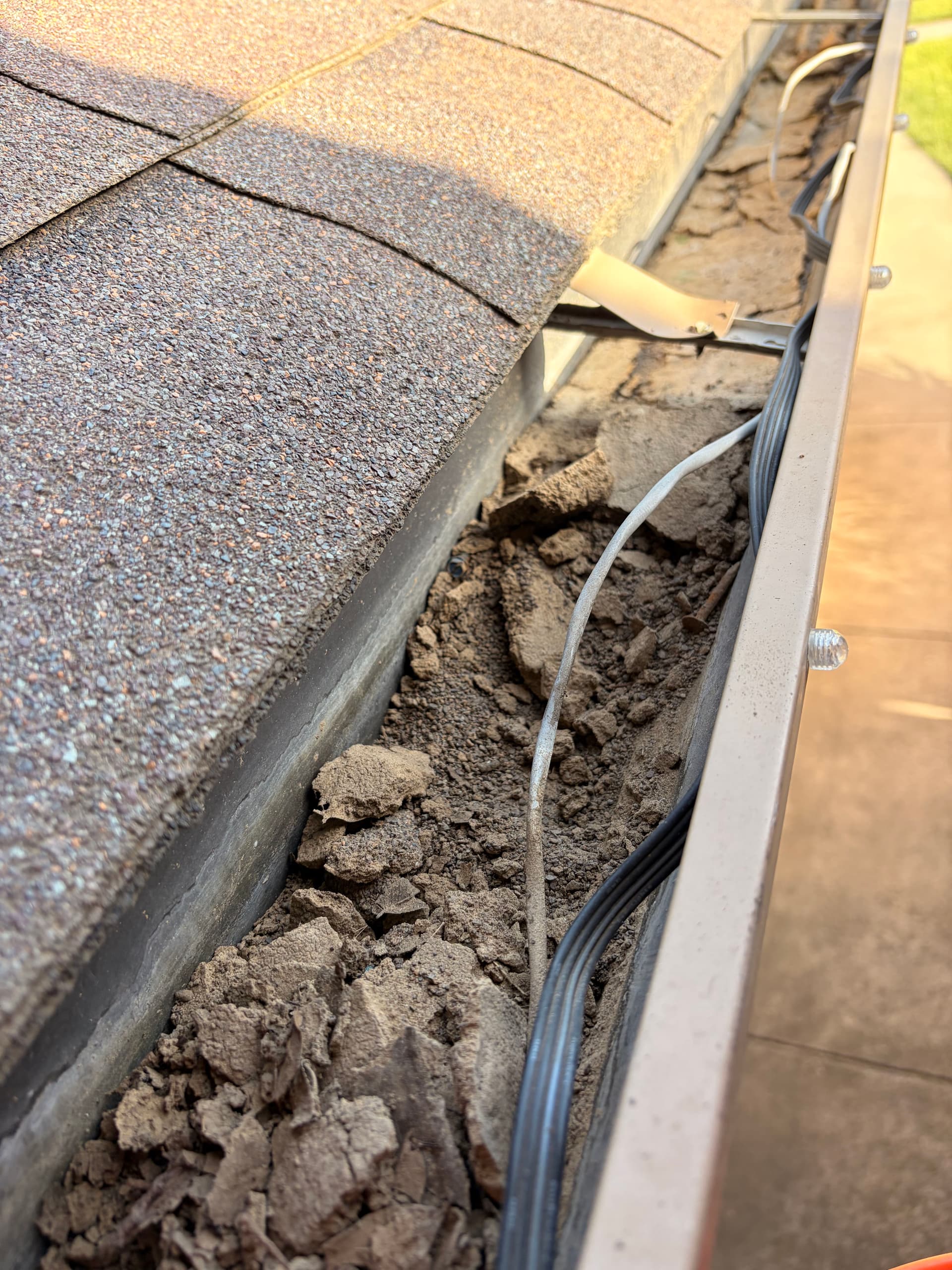 Gallery photos for Clogged Gutters Cleaned Out at Arlington Home: Image #1